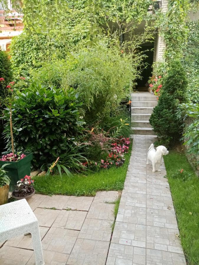 Dusica Apartmani Jagodina Eksteriør bilde